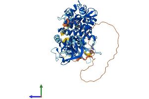 AlphaFold protein structure predicition of Human Recombinant SYK Protein, UniprotID P43405 (SYK Protein (AA 1-635) (His tag))