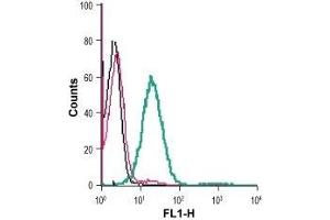 Cell surface detection of CD73 in live intact human Jurkat T-cell leukemia cells: (black line) Cells. (CD73 抗体  (Extracellular, N-Term))