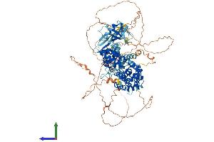 Protein Structure (PS) image for Ral Guanine Nucleotide Dissociation Stimulator (RALGDS) (AA 1-852) protein (His tag) (ABIN7563590)