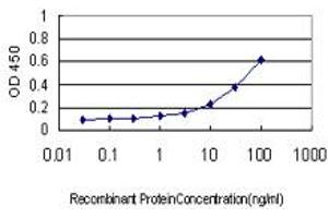 Detection limit for recombinant GST tagged NME1 is approximately 1ng/ml as a capture antibody. (NME1 抗体  (AA 1-152))