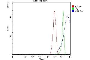 Flow Cytometry analysis of RT4 cells using anti-MIM/MTSS1 antibody (ABIN7600276). (MTSS1 抗体  (AA 17-692))