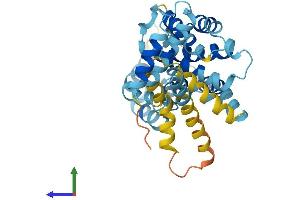 Protein Structure (PS) image for DnaJ (Hsp40) Homolog, Subfamily C, Member 22 (DNAJC22) (AA 1-339) protein (His tag) (ABIN7559343)