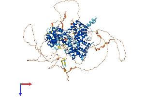 FAM120A Protein (AA 1-1112) (His tag)