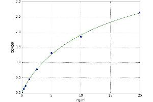 Malate Dehydrogenase 2, NAD (Mitochondrial) (MDH2) ELISA Kit