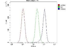 Flow Cytometry analysis of A549 cells using anti-PDE6 alpha/PDE6A antibody (ABIN7599710).