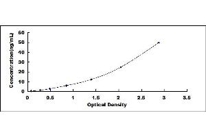 Typical standard curve (SIRT7 ELISA 试剂盒)