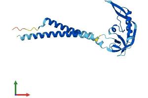 Protein Structure (PS) image for Potassium Large Conductance Calcium-Activated Channel, Subfamily M, beta Member 4 (KCNMB4) (AA 1-210) protein (His tag) (ABIN7561550)