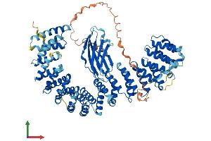 AlphaFold protein structure predicition of Mouse Recombinant Ap1g2 Protein, UniprotID O88512