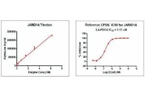 Recombinant JARID1A / KDM5A activity using AlphaLISA.
