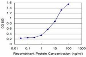 Detection limit for recombinant GST tagged TP53RK is approximately 0. (TP53RK 抗体  (AA 154-253))