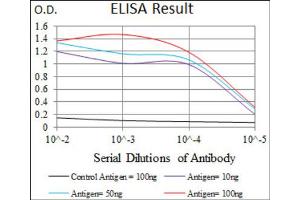 ELISA image for anti-ATP-Binding Cassette, Sub-Family B (MDR/TAP), Member 5 (ABCB5) (AA 481-674) antibody (ABIN1842667)