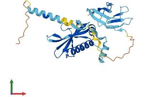 AlphaFold protein structure predicition of Mouse Recombinant Pih1d1 Protein, UniprotID Q9CQJ2