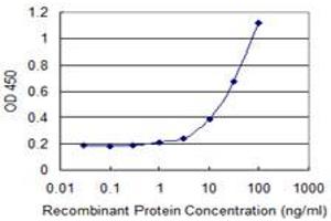 Detection limit for recombinant GST tagged HSPA4 is 1 ng/ml as a capture antibody. (HSPA4 抗体  (AA 1-148))