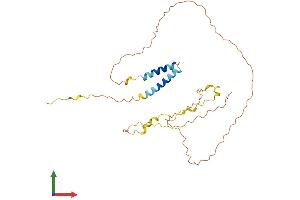 AlphaFold protein structure predicition of Human Recombinant TP53TG5 Protein, UniprotID Q9Y2B4