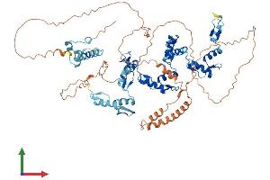 Protein Structure (PS) image for Zinc Finger Protein 782 (ZNF782) (AA 1-699) protein (His tag) (ABIN7545763)