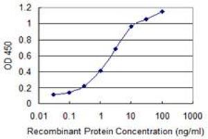 Detection limit for recombinant GST tagged KRT75 is 0. (Keratin 75 抗体  (AA 141-240))