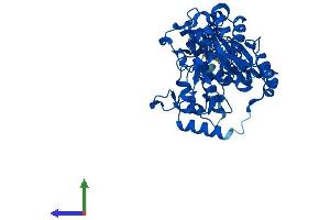Protein Structure (PS) image for Glucosaminyl (N-Acetyl) Transferase 3, Mucin Type (GCNT3) (AA 1-437) protein (His tag) (ABIN7557468)