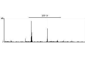 ChIP DNA-Sequencing (ChIP-seq) image for anti-Nuclear Factor-kB p65 (NFkBP65) (AA 501-551) antibody (ABIN7454789) (NF-kB p65 抗体  (AA 501-551))