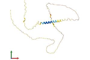 Protein Structure (PS) image for Chromosome 4 Open Reading Frame 49 (C4orf49) (AA 1-240) protein (His tag) (ABIN7548392)