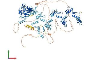 Protein Structure (PS) image for PR Domain Containing 9 (PRDM9) (AA 1-894) protein (His tag) (ABIN7555079)