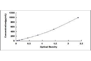 Typical standard curve (MANF ELISA 试剂盒)
