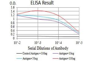 ELISA image for anti-Activated Leukocyte Cell Adhesion Molecule (ALCAM) (AA 227-381) antibody (ABIN5611126)