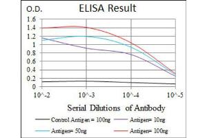 Red: Control Antigen (100ng) ; Purple: Antigen (10ng) ; Green: Antigen (50ng) ; Blue: Antigen (100ng). (RAG1 抗体  (AA 818-868))