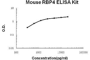Mouse RBP4 PicoKine ELISA Kit standard curve (RBP4 ELISA 试剂盒)