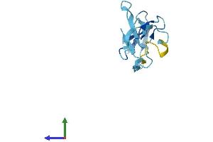 Protein Structure (PS) image for Polymerase (RNA) III (DNA Directed) Polypeptide K, 12.3 KDa (POLR3K) (AA 1-108) protein (His tag) (ABIN7551552)