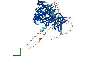 Protein Structure (PS) image for Sorting Nexin 31 (SNX31) (AA 1-439) protein (His tag) (ABIN7558018)