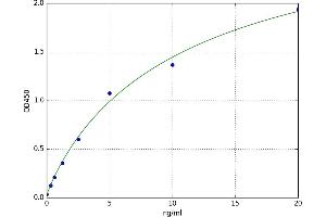 A typical standard curve (SERPINE2 ELISA 试剂盒)