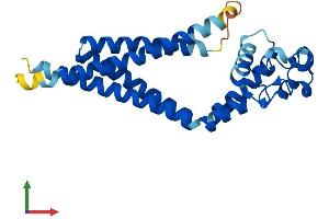 Protein Structure (PS) image for Tetraspanin 7 (TSPAN7) (AA 1-249) protein (His tag) (ABIN7544811)
