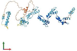 AlphaFold protein structure predicition of Human Recombinant ZNF682 Protein, UniprotID O95780