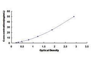 Typical standard curve (LEFTY1 ELISA 试剂盒)