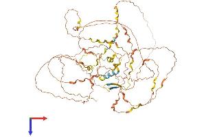 GGN Protein (AA 1-652) (His tag)