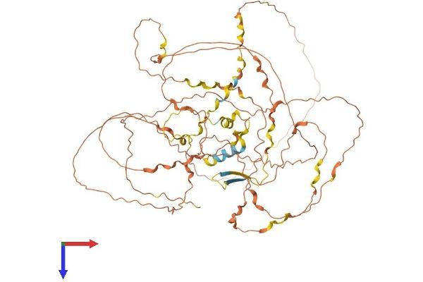 GGN Protein (AA 1-652) (His tag)