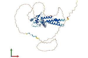 Protein Structure (PS) image for Transcription Factor AP-2 alpha (Activating Enhancer Binding Protein 2 Alpha) (TFAP2A) (AA 1-437) protein (His tag) (ABIN7563149)