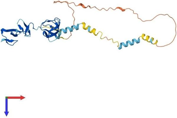 LASP1 Protein (AA 1-261) (His tag)
