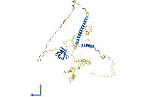 Protein Structure (PS) image for Cortactin (CTTN) (AA 1-546) protein (His tag) (ABIN7563864)
