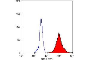 Image no. 1 for anti-Macrophages antibody (FITC) (ABIN305286) (Macrophages 抗体 (FITC))