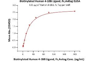 Immobilized Human 4-1BB, Fc Tag (ABIN2180548,ABIN2180547) at 0. (TNFSF9 Protein (AA 50-254) (Fc Tag,AVI tag,Biotin))