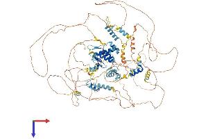 TSHZ1 Protein (AA 1-1077) (His tag)