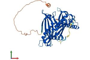 AlphaFold protein structure predicition of Human Recombinant ACOT7 Protein, UniprotID O00154