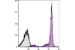 BALB/c mouse bone marrow cells were stained with Mouse Anti-Mouse CD45. (CD45.2 抗体  (PE-Cy7))