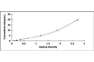 Typical standard curve (RAD51 Homolog ELISA 试剂盒)