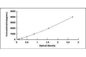 Fatty Acid Binding Protein 7, Brain (FABP7) ELISA Kit