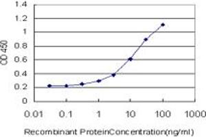 Detection limit for recombinant GST tagged MR1 is approximately 1ng/ml as a capture antibody. (MR1 抗体  (AA 201-300))