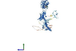 Protein Structure (PS) image for Tripartite Motif Containing 9 (TRIM9) (AA 1-710) protein (His tag) (ABIN7555821)