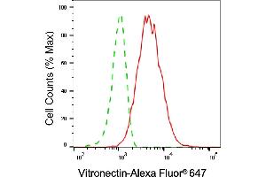 Flow cytometric analysis of Vitronectin expression in HT- cells using Vitronectin antibody (ABIN7800844), 1:2,000). (Vitronectin 抗体)
