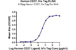 Immobilized Human CD27, His Tag at 0. (CD27 Protein (AA 21-192) (His tag))